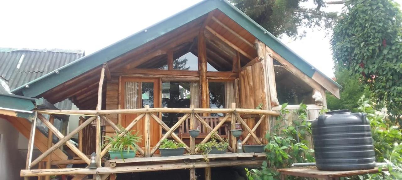 Eco Creations Wooden Cottage ヌワラ・エリヤ エクステリア 写真