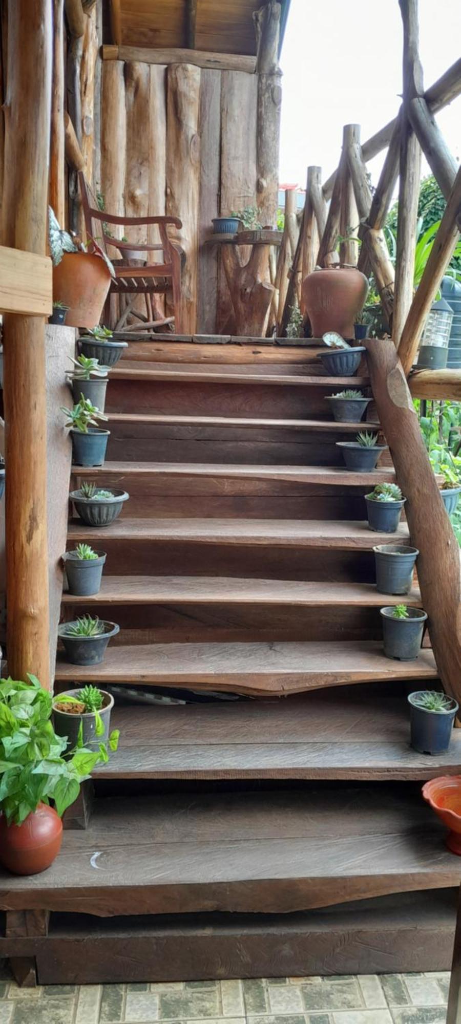Eco Creations Wooden Cottage ヌワラ・エリヤ エクステリア 写真